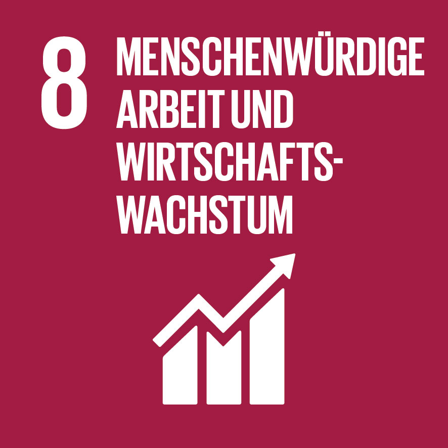 8 - Nachhaltiges Wirtschaftswachstum