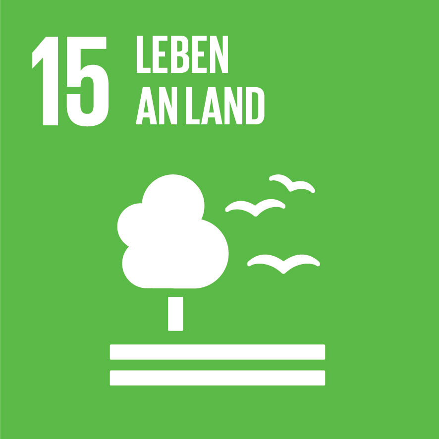 15 - Leben an Land