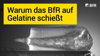 Warum das BfR auf Gelatine schießt