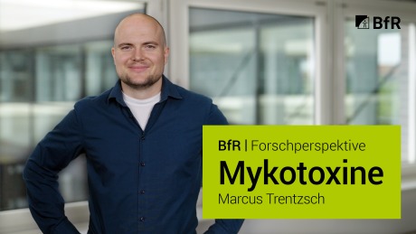 BfR-Forschperspektive: Mykotoxine